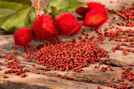 Natural red pigment from annatto seeds - Bixa orellanaの写真素材