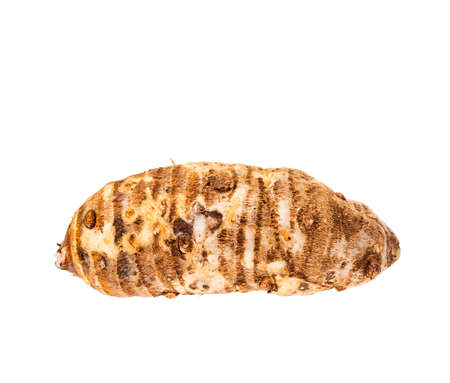 Healthy and organic taro root - Colocasia esculentaの写真素材