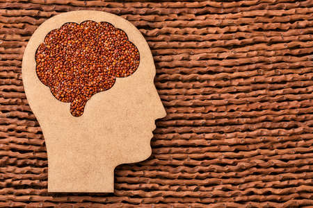 Chenopodium quinoa - Red organic quinoa seeds in the brain shaped bowl