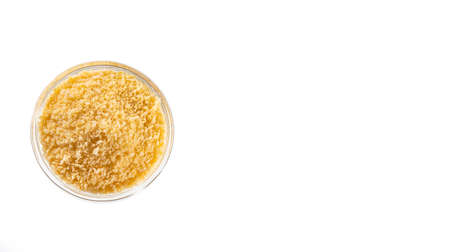 Panko Japanese bread in crumbs - Healthy food
