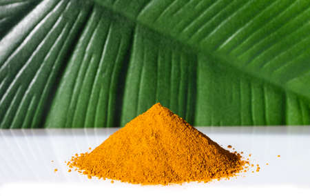 Curcuma longa - Organic turmeric powder. Healthy food