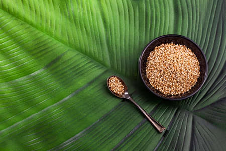 Amaranthus - Popped amaranth grain. Healthy foodの写真素材