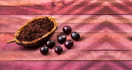 Euterpe oleracea - Acai berry powder in bowl