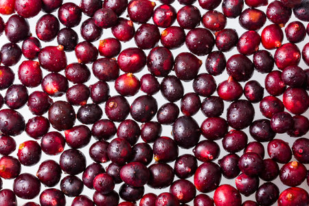 Fresh organic acai berries - Euterpe oleracea