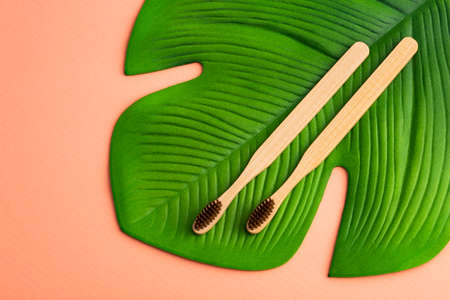 Natural bamboo toothbrushes. sustainable lifestyle concept.の写真素材