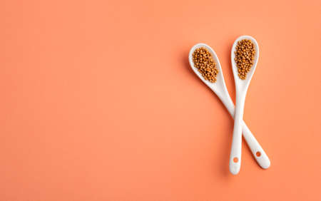 Sinapis alba - Organic mustard grains in two ceramic spoonsの写真素材