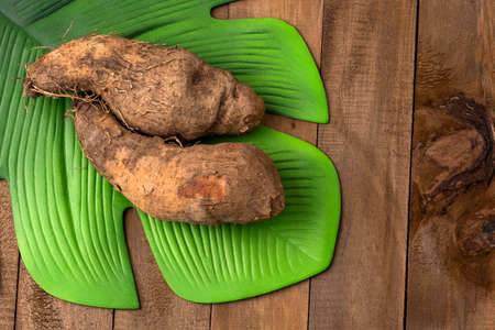 Colombian organic tuber yam - Dioscorea. healthy foodの写真素材