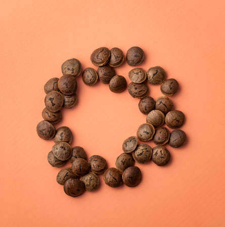 Plukenetia volubilis - Dried sacha inchi seeds