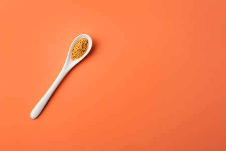 Organic amaranth seeds in ceramic spoon - Amaranthus