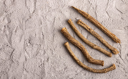 Valeriana officinalis - Dried stems of medicinal valerianの写真素材