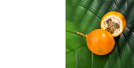 Passiflora ligularis - Granadilla tropical organic fruitの写真素材