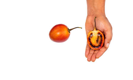 Ripe sweet tamarillo fruit in farmer's hand - Passiflora tripartitaの写真素材