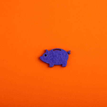 saving and investment concept - piggy bank