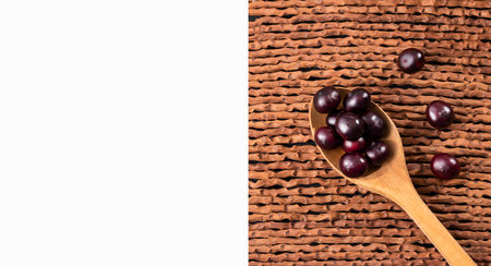 Acai berry organic amazon - Euterpe oleraceaの写真素材