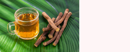 Licorice tea cup and root pieces - Glycyrrhiza glabraの写真素材