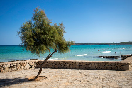Spain Majorca island, view of the coastline beach of Cala Millor, Mediterranean Sea.の写真素材