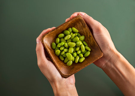 Glycine max - Fresh organic green soybeans in grower's handsの写真素材