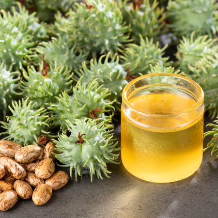 Ricinus communis seeds and hair oil - Natural productの写真素材