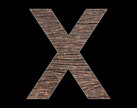 Uppercase letter X of the alphabet - Rustic tree cortex textureの写真素材