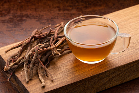 Organic sarsaparilla medicinal tea - Smilax asperaの写真素材