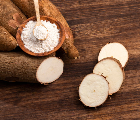 Manihot esculenta - Organic cassava (manioc) starchの写真素材