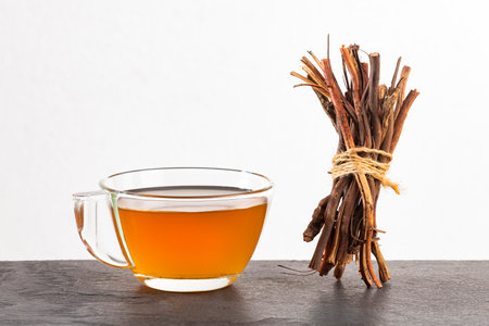 Smilax aspera - Organic sarsaparilla medicinal teaの写真素材