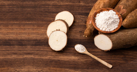 Organic cassava root starch - Manihot esculentaの写真素材