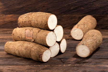 Fresh organic cassava root - Manihot esculentaの写真素材