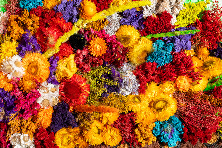 Silleteros parade, flower fair in the city of Medellin - Colombiaの写真素材