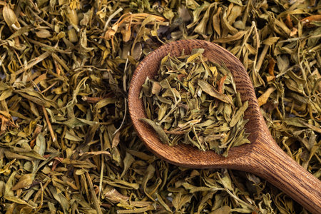 Dried rue leaves in the spoon - Ruta graveolens