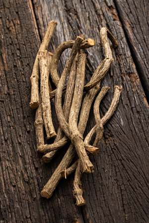 Valeriana officinalis - Dried organic valerian sticksの写真素材