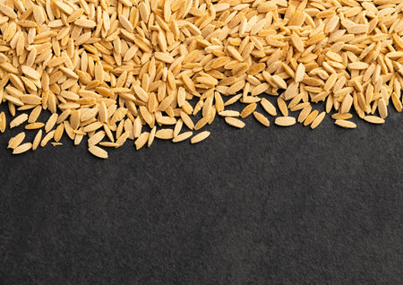 Risoni, organic pasta - Raw dried orzoの写真素材