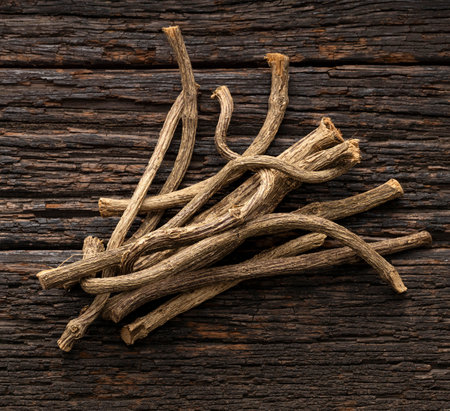 Valeriana officinalis - Dried organic valerian sticksの写真素材