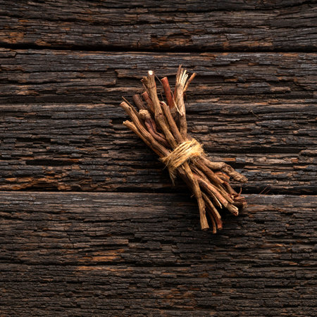 Smilax aspera - Dried organic sarsaparilla sticksの写真素材