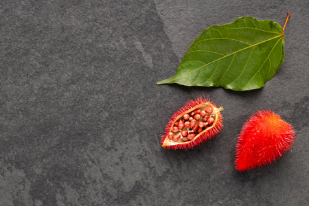 Organic annatto plant on white background - Bixa Orellanaの写真素材