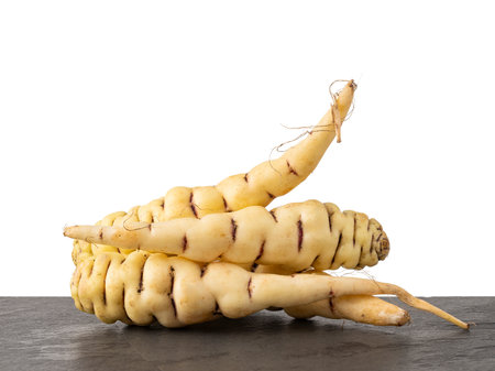 Tropaeolum tuberosum - Colombian organic cubios. Tubers on white background.の写真素材