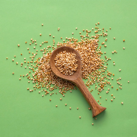 Organic amaranth seeds in the spoon - Amaranthus.の写真素材
