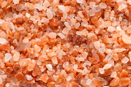 Pure salt in fine grains and coarse grains - Himalayan pink crystalsの写真素材