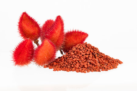 Pile of organic annatto seeds - Seasoning and red food coloring. Bixa Orellanaの写真素材
