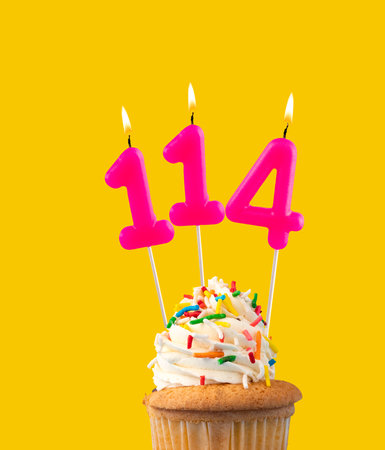 Number 114, Pink birthday candle - Cupcake birthday.の写真素材