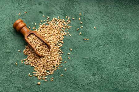 Organic and dried seeds for canary and parrot food - Phalaris canariensis.