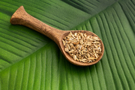 Foeniculum vulgare - Dried organic fennel seeds in the spoon.