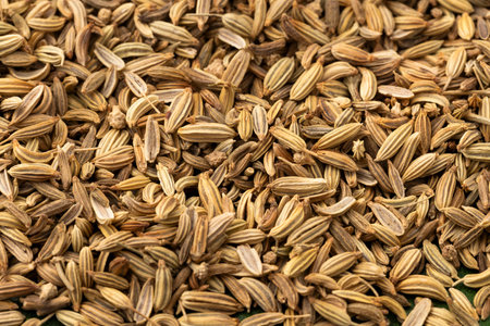 Heap of dried organic fennel seeds - Foeniculum vulgare.