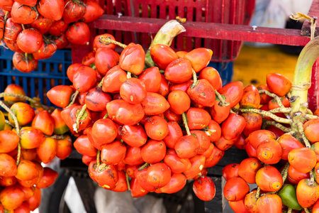 Chontaduro fruit of the amazon palm tree - Bactris gasipaes.の写真素材