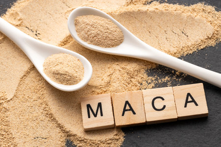 Organic Peruvian maca powder in two spoons - Lepidium meyenii.