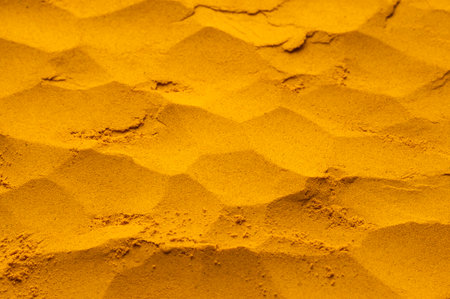 Turmeric is a very healthy species - Curcuma longa