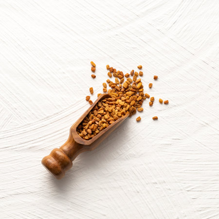 Organic fenugreek seeds in spoon - Trigonella foenum - graecumの写真素材