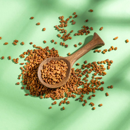 Organic raw dried fenugreek seeds in a spoon - Trigonella foenum - graecumの写真素材