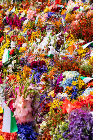 Exotic flower festival at the Medellin Flower Fair.の写真素材