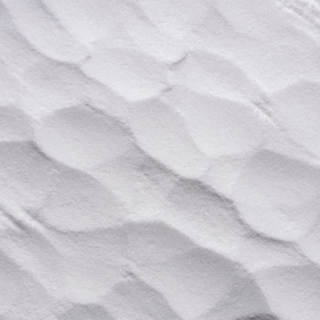 Natural powdered sweetener from the stevia plant - Stevia rebaudianaの写真素材